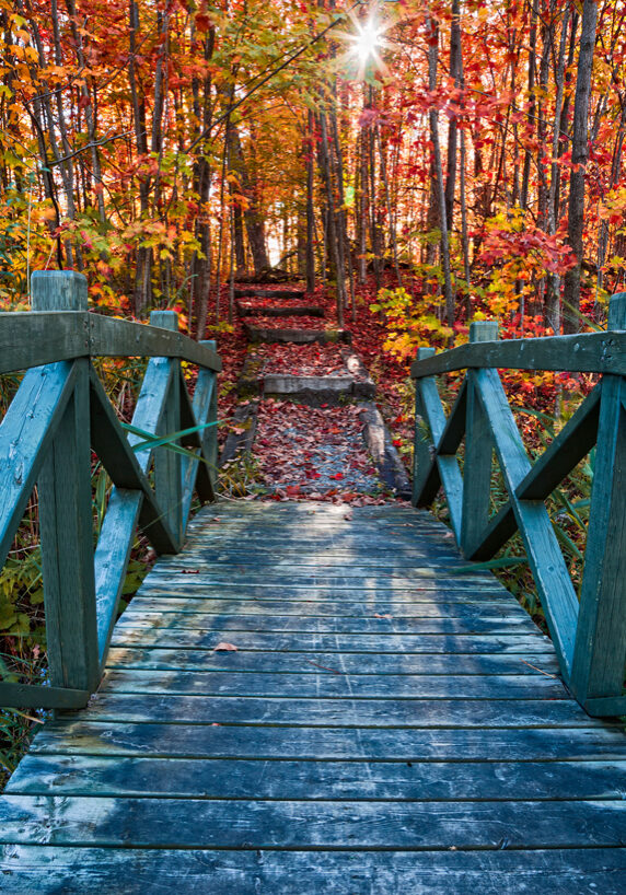 quebec-bridge-to-fall